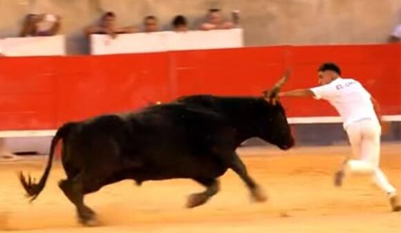 COURSES CAMARGUAISES DE L’ÉTÉ : LE COCARDIER « SIFFLEUR » RALLIE TOUS LES SUFFRAGES