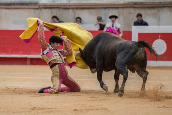 OBJECTIF FERIA DE PENTECÔTE : PABLO AGUADO, LE TORERO A NE PAS MANQUER