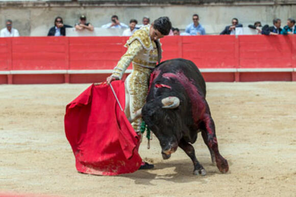 OBJECTIF FERIA DES VENDANGES : LA POÉSIE DU TOREO DE PABLO AGUADO