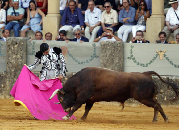 OBJECTIF FERIA DES VENDANGES : PABLO AGUADO CHANTE LE TOREO A RONDA