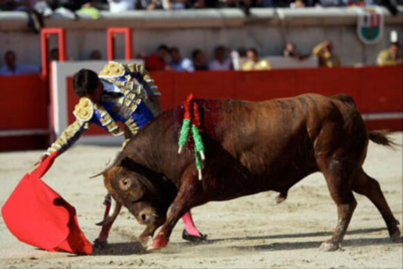 TEMPORADA : SÉDUISANTS TOROS DE VIRGEN MARÍA A PONTEVEDRA