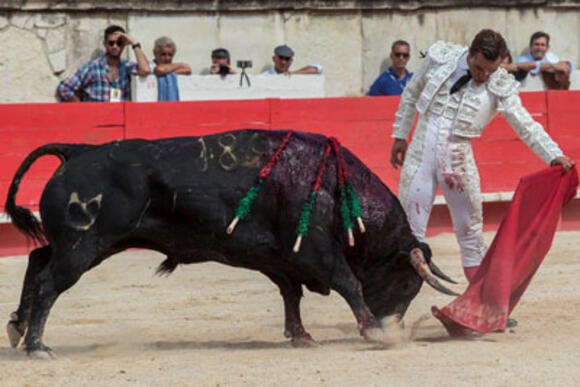 FERIA DES VENDANGES : DOUBLE PORTE DES CONSULS POUR JUAN BAUTISTA ET SÉBASTIEN CASTELLA, LÉA VICENS EN TRIOMPHE PAR LA PORTE DES CUADRILLAS