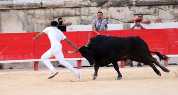 FERIA DE PENTECÔTE : UNE GRANDE COURSE CAMARGUAISE EN OUVERTURE