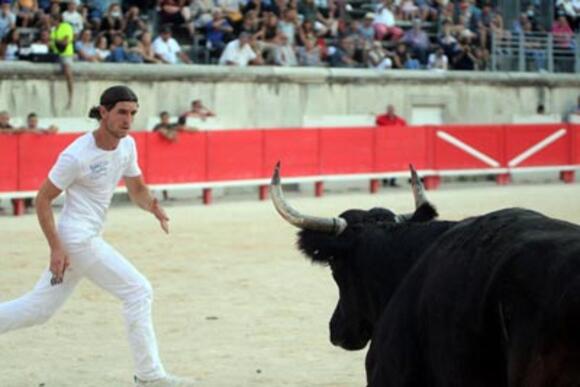 JEUDIS DE NÎMES : LE GRAND SUCCÈS DES COURSES CAMARGUAISES