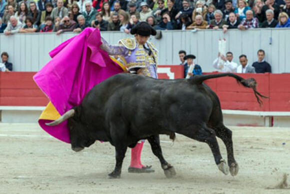 OBJECTIF FERIA DE PENTECÔTE : SÉBASTIEN CASTELLA EN TAILLE PATRON FACE AUX JANDILLA