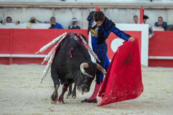 OBJECTIF FERIA DES VENDANGES : NÚÑEZ DEL CUVILLO, ÉTOILE D’UNE ALTERNATIVE ANDALOUSE