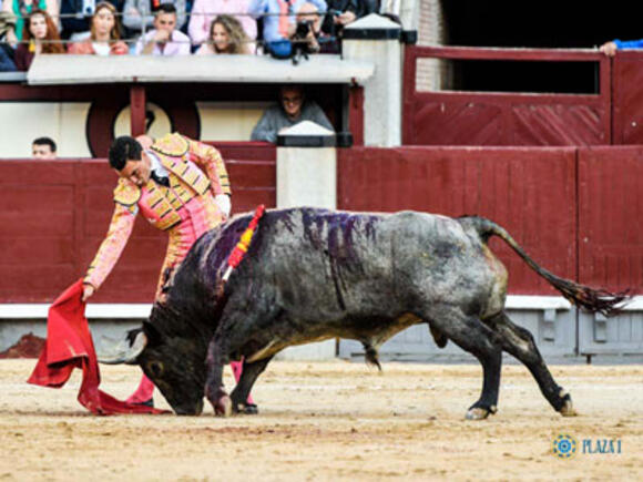 TEMPORADA : AVEC LES VICTORINOS, UN BEAU DIMANCHE DE TOROS A MADRID