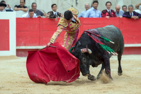 FERIA DES VENDANGES : TRIPLE CONFIRMATION D’ALTERNATIVE, TRIOMPHE D’OCTAVIO CHACÓN, GRANDE FAENA D’EMILIO DE JUSTIO ET BLESSURE DE PEPE MORAL, HÉROÏQUE FACE A DE GRANDS TOROS DE VICTORINO MAR