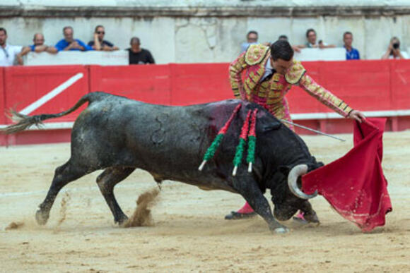 OBJECTIF FERIA DE PENTECÔTE : OCTAVIO CHACÓN RÉPOND AUX ATTENTES DE L’AFICIÓN FRANCAISE