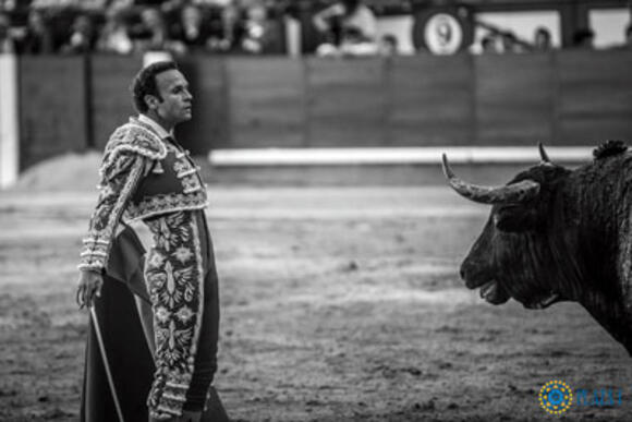 TEMPORADA : TROIS ENGAGEMENTS A LA SAN ISIDRO POUR NEUF TOREROS DU BOMBO