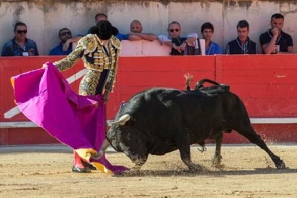 ESCALAFÓN DES MATADORS DE TOROS : LA SAISON EUROPÉENNE EST LANCÉE