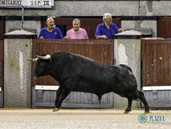 OBJECTIF FERIA DES VENDANGES : FUENTE YMBRO CENTRE LES ATTENTIONS EN ESPAGNE