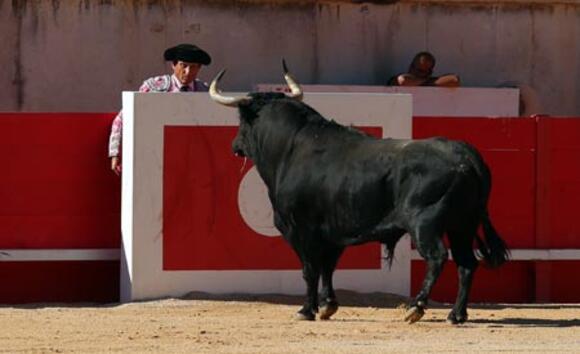 OBJECTIF FERIA DES VENDANGES : FUENTE YMBRO, ÉLEVAGE INCONTOURNABLE DE LA TEMPORADA