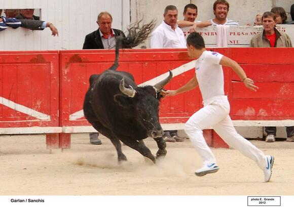 COURSE CAMARGUAISE : HOMMAGE À GARLAN, INOUBLIABLE BIOU D’OR