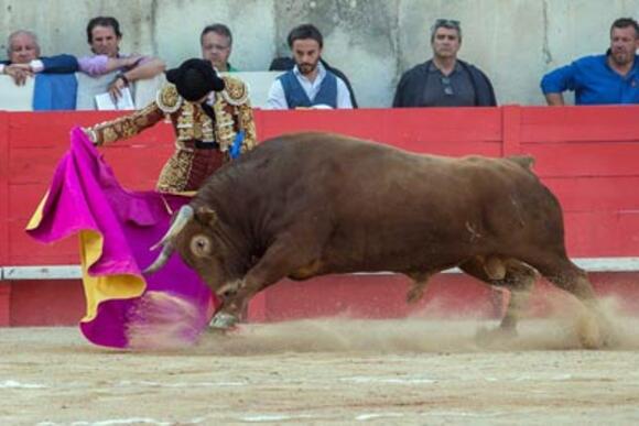 SOUVENIRS DE FERIAS (2017) : UNE GRANDIOSE CORRIDA DE JANDILLA