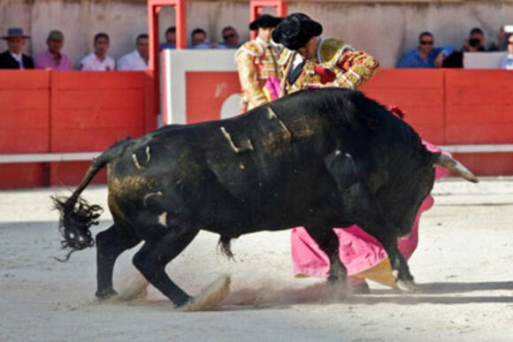 TEMPORADA : EL JULI, MANZANARES ET GARCIGRANDE LAURÉATS DE LA FERIA DE SÉVILLE