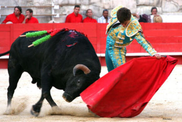 RÉTROSPECTIVE : 2008, UNE FERIA DES VENDANGES SOUS LE SIGNE DES SOLOS