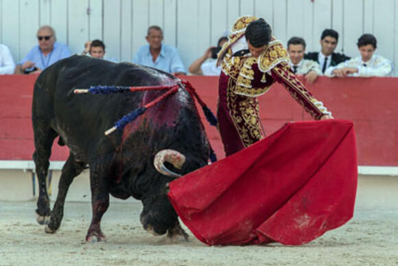 OBJECTIF FERIA DES VENDANGES : LA GRANDE SEMAINE D’EMILIO DE JUSTO, TRIOMPHATEUR A DAX ET VALLADOLID