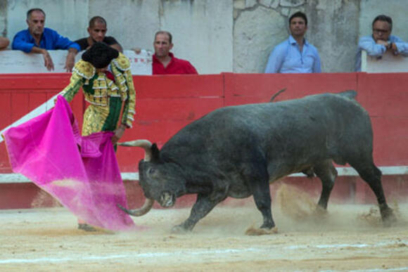 OBJECTIF FERIA DE PENTECÔTE : VICTORINO MARTÍN TIENT SON RANG A SÉVILLE