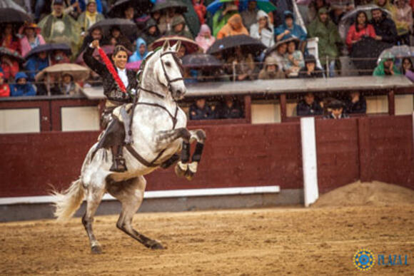 ESCALAFÓN DES REJONEADORS : LÉA VICENS AU TRIPLE GALOP