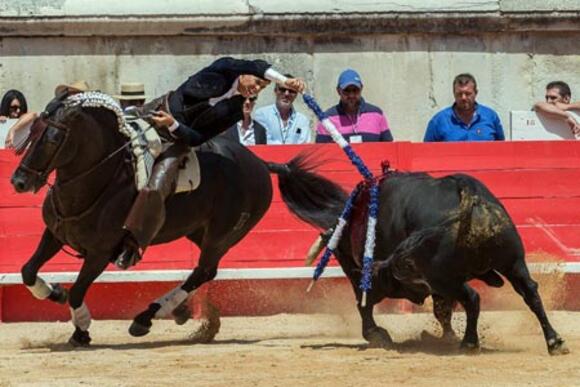 REVUE DE PRESSE : TORERO ET REJONEADOR, LES HÉROS DE LÉA VICENS