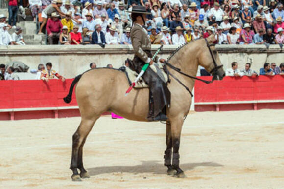 FERIA DES VENDANGES : LÉA VICENS, COMME A LA MAISON