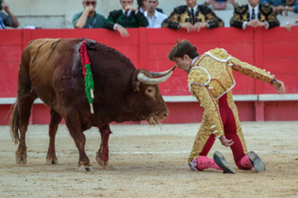 FERIA DES VENDANGES : UN ÉPOUSTOUFLANT JUAN LEAL OUVRE LA PORTE DES CONSULS POUR LA CORRIDA DE CLÔTURE