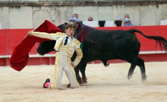 FERIA DES VENDANGES : DEUX OREILLES POUR JUAN LEAL LORS DE L’ALTERNATIVE DE MARCOS