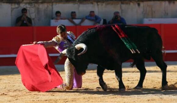 WEEK-END TAURIN : JUAN LEAL TRIOMPHE UNE NOUVELLE FOIS DEVANT LES TOROS DE FUENTE YMBRO