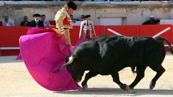 FERIA DE PENTECÔTE : RETOUR EN IMAGES SUR CINQ JOURNÉES PASSIONNANTES AUX ARÈNES