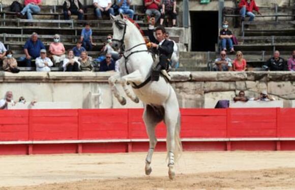 FERIA DES VENDANGES : LEONARDO HERNÁNDEZ II TRIOMPHATEUR DE LA CORRIDA ÉQUESTRE