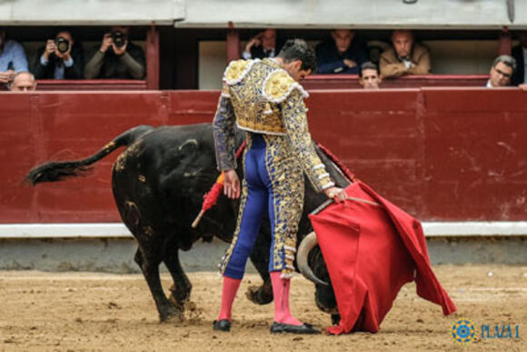 TEMPORADA : PERERA ET LÓPEZ SIMÓN REJOIGNENT LE GROUPE DU « BOMBO » POUR LA SAN ISIDRO