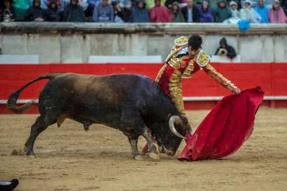 OBJECTIF FERIA DES VENDANGES : UN LÓPEZ SIMÓN ROYAL FACE AUX FUENTE YMBRO