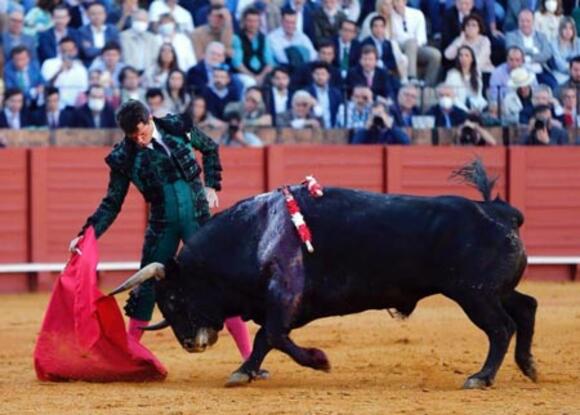 OBJECTIF FERIA DE PENTECÔTE : EL PARRALEJO, GAGE DE SPECTACLE