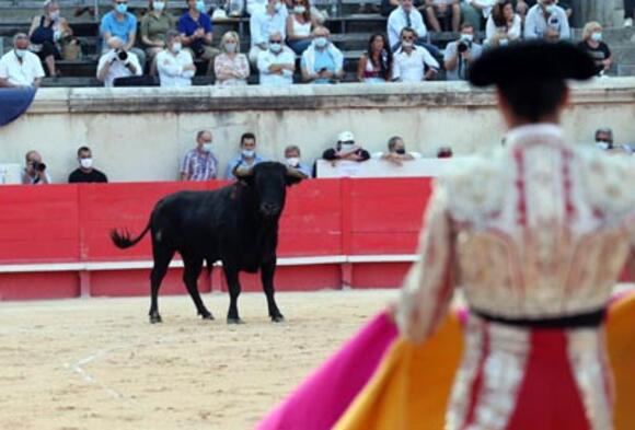 BILANS DE LA SAISON 2020 : MALAGA, LA FLAMME FRANÇAISE