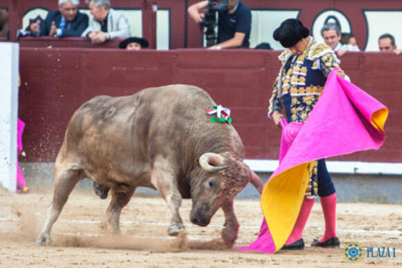 OBJECTIF FERIA DE PENTECÔTE : NOUVELLE SEMAINE BRILLANTE POUR NÚÑEZ DEL CUVILLO