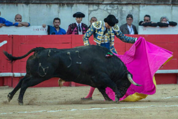 OBJECTIF FERIA DES VENDANGES : LA GRANDE DIMENSION DU TOREO DE MANZANARES