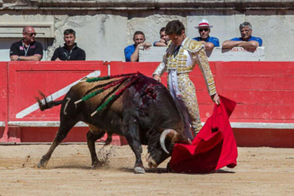 TEMPORADA : GINÉS MARÍN GRACIE UN TORO ET CONQUIERT DAX !