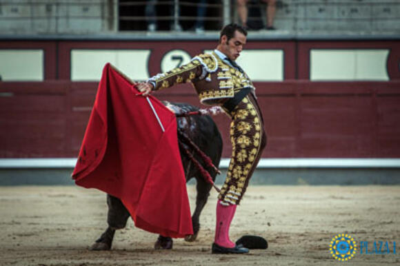 OBJECTIF FERIA DES VENDANGES : PEPE MORAL CENTRE LES ATTENTIONS