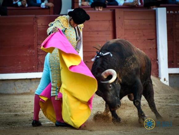 ESCALAFÓN DES MATADORS DE TOROS : MORANTE DE LA PUEBLA REPREND SES MARQUES