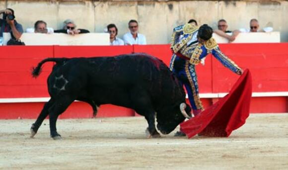 FERIA DE PENTECÔTE : MORANTE DE LA PUEBLA RAVIT L’UNIQUE OREILLE DE LA CORRIDA DOMINICALE