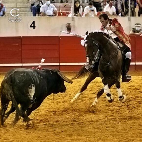 FERIA DE PENTECÔTE : À LA DÉCOUVERTE DE LA CORRIDA PORTUGAISE