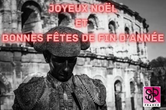 FÊTES DE FIN D’ANNÉE – JOYEUX NOËL À TOUS