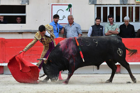 OBJECTIF FERIA DE PENTECÔTE : PAGÈS-MAILHAN SE DISTINGUE