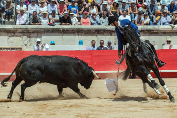 OBJECTIF FERIA DE PENTECÔTE : LES TOROS DE FERMÍN BOHÓRQUEZ, NEC PLUS ULTRA GANADERO DU REJONEO