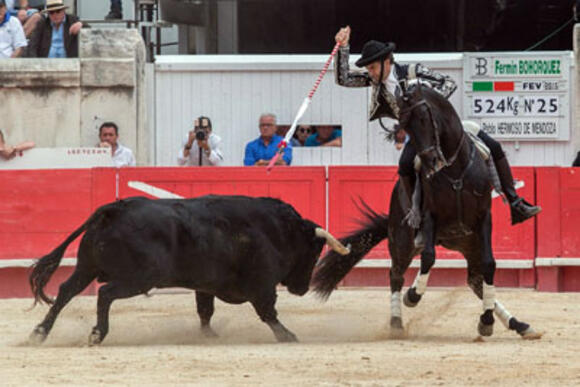 FERIA DE PENTECÔTE : BILAN GANADERO DE LA CORRIDA ÉQUESTRE