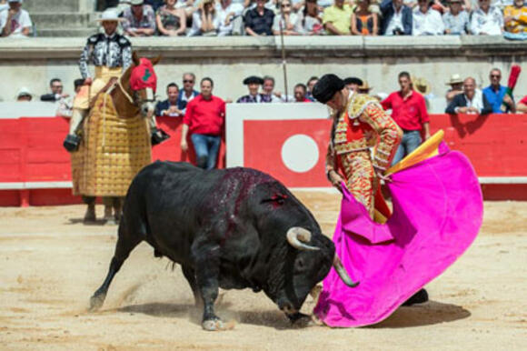 ESCALAFÓN DES MATADORS DE TOROS : ENRIQUE PONCE TIENT LA CADENCE