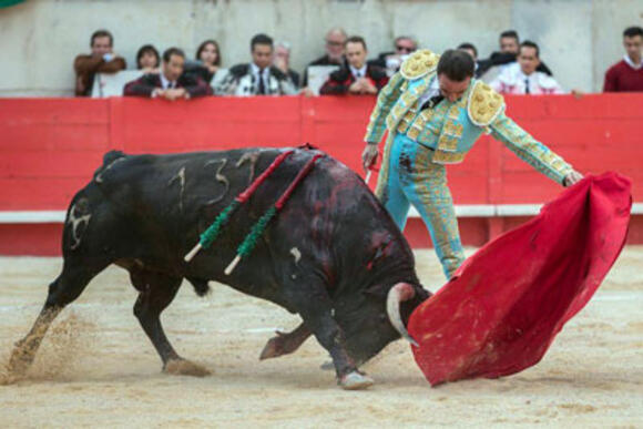 OBJECTIF FERIA DES VENDANGES : NÚÑEZ DEL CUVILLO BRILLE A LINARES