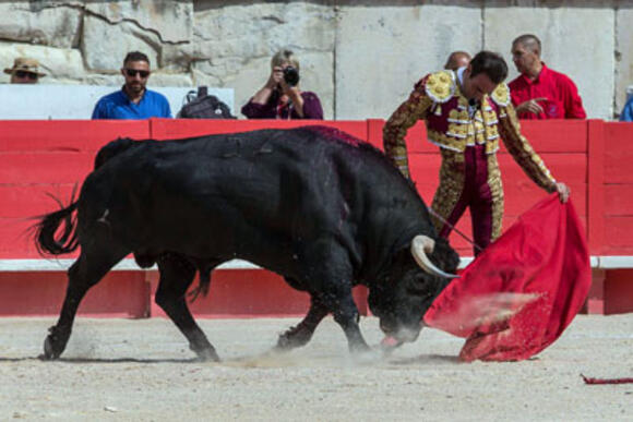 FERIA DES VENDANGES : PORTE DES CONSULS POUR TOÑETE ET SON PARRAIN D’ALTERNATIVE, ENRIQUE PONCE, QUI GRACIE LE TORO « DEVOTO », DE CORTÉS