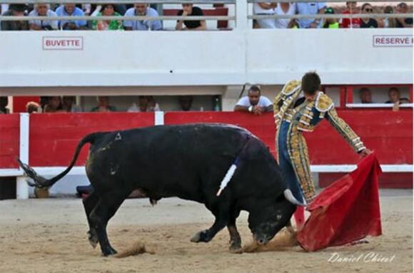 OBJECTIF FERIA DES VENDANGES : LE JOLI COUP D’EL RAFI FACE AUX VICTORINO MARTÍN